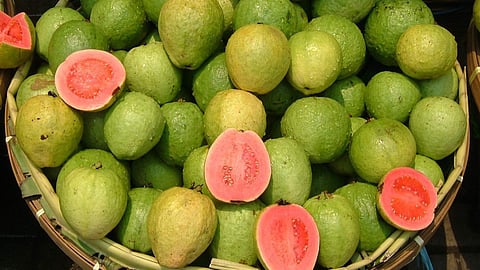 Guava