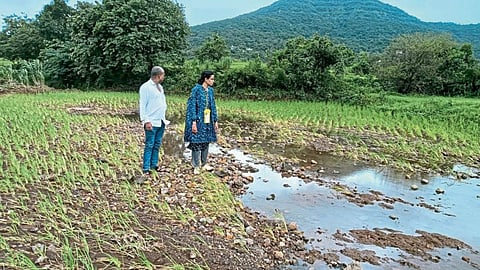 Crop Damage