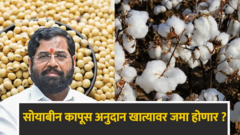 Soybean Cotton Anudan