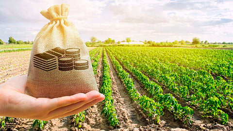 Agriculture Subsidy