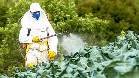 Pesticide