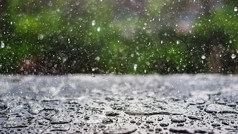 Rain