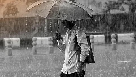 Rain Alert
