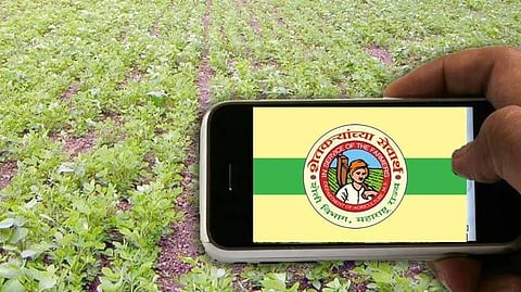 Survey of crops