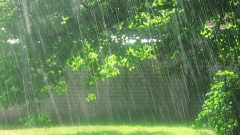 Rain Update