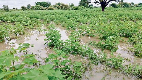 Heavy Rain
