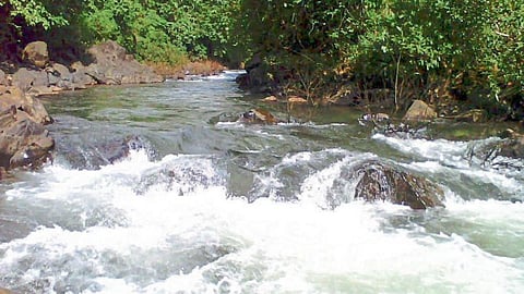 River Conservation