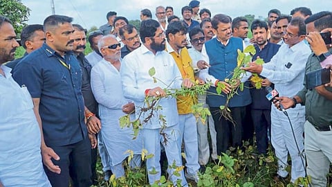 Crop Damage