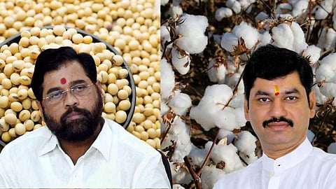 Soybean Cotton Anudan