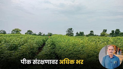Agriculture Protection