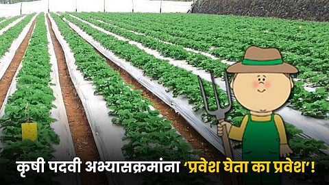 Agriculture Degree Admission
