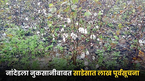 Crop Damage