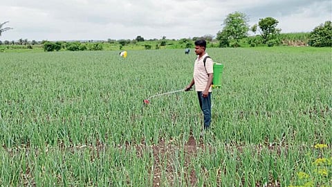 Kharif Season