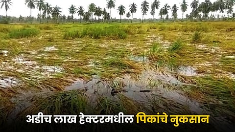 Crop Damage Issue
