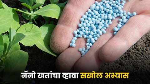 Nano Fertilizers