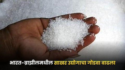 Sugar Industry