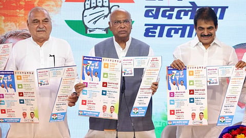 Haryana Assembly Electorate 2024