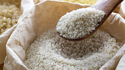 Bhagar Millet