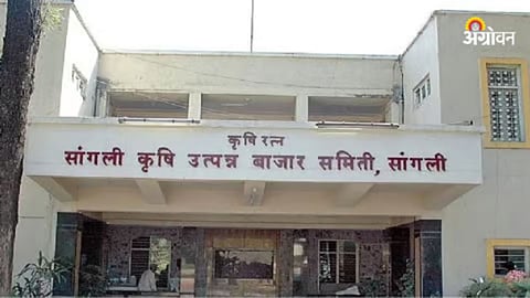 Sangli APMC