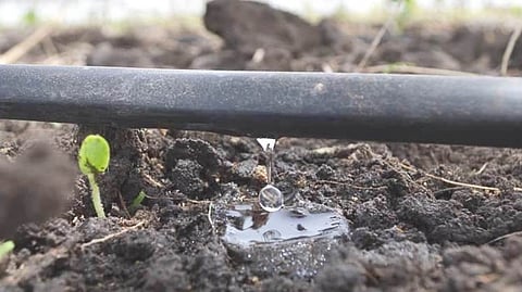 irrigation subsidy