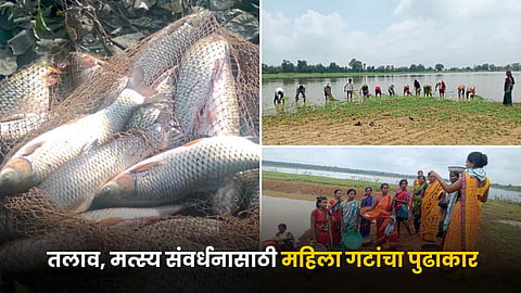 Fish Conservation