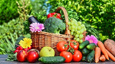 Horticulture
