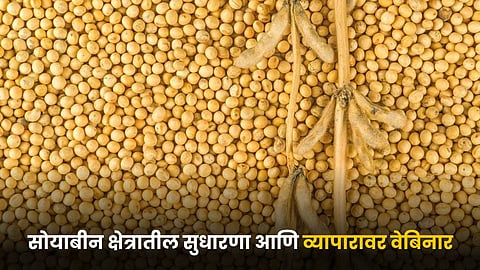 Soybean Webinar
