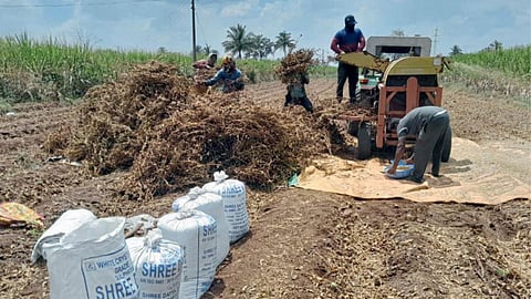 Crop Harvesting
