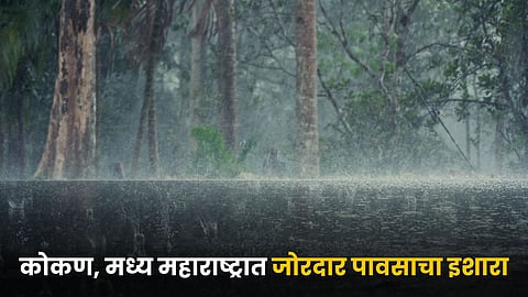 Rain
