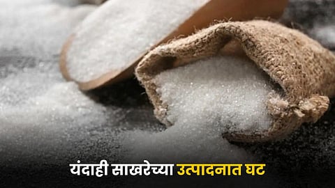 Sugar Production