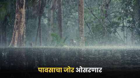 Rain