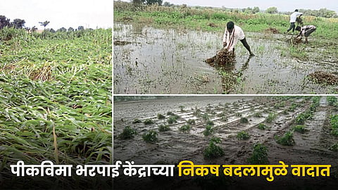Crop Damage