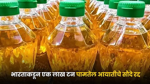 Palm Oil