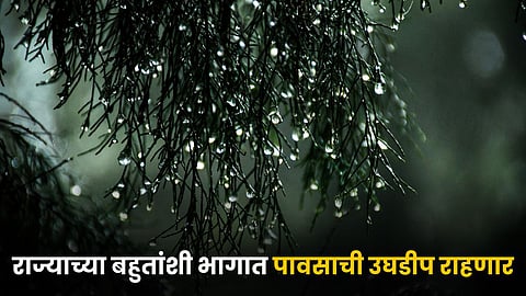 Rain