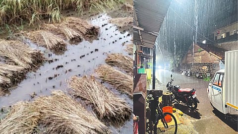 Kolhapur Rain Update