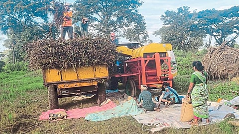 Crop Harvesting