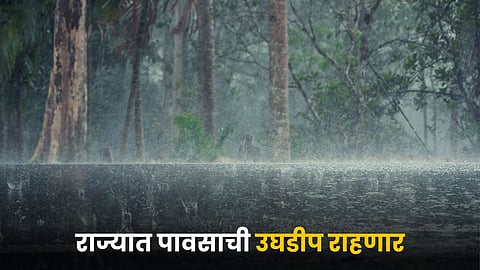 Rain