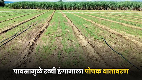 Agriculture