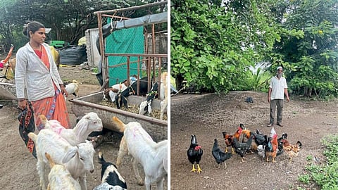 Agriculture Success Story