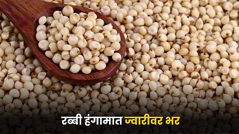Jowar