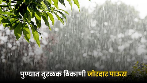 Rain