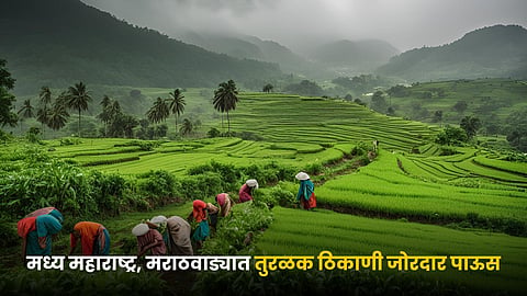 Monsoon