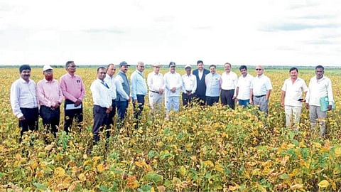 Soybean Production Team