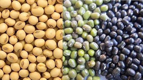 Soybean, Moong, Urad Procurement