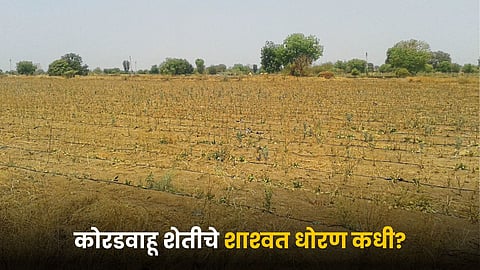 Rainfed Farming