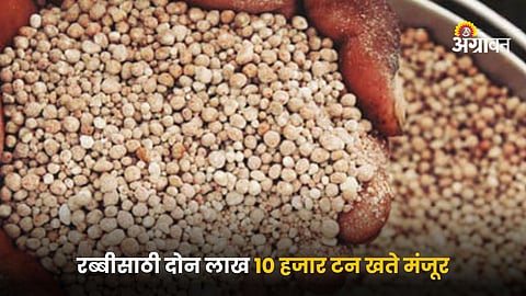 Rabi Season