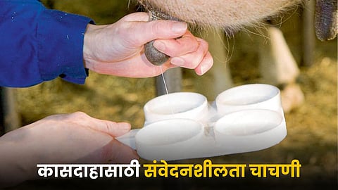 Animal Disease