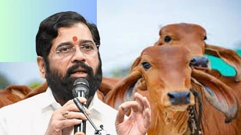 CM Eknath Shinde