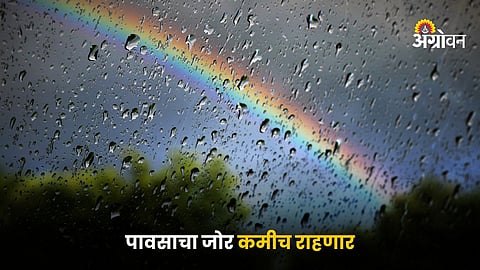 Rain