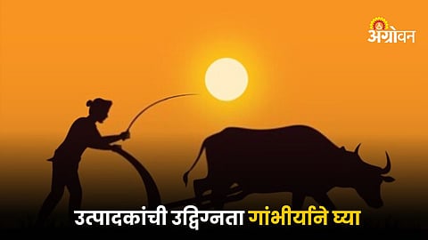 Indian Farmer